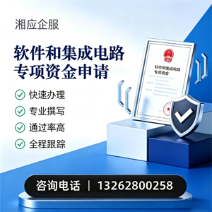 孝感软件和集成电路专项资金申报服务