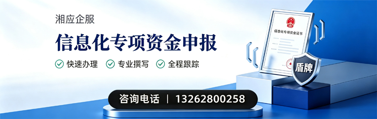 孝感信息化专项资金申报服务