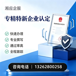 孝感专精特新企业申报服务