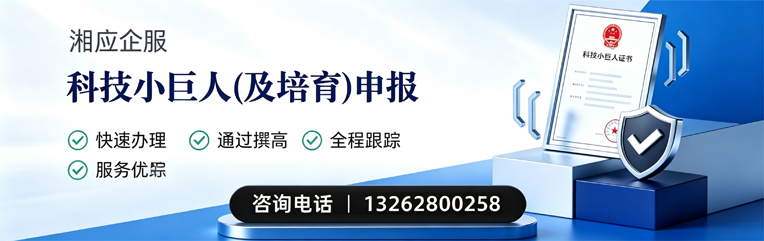 孝感科技小巨人及培育企业申报服务