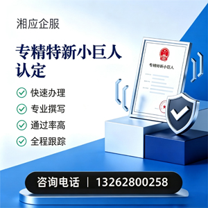 孝感专精特新小巨人申报服务