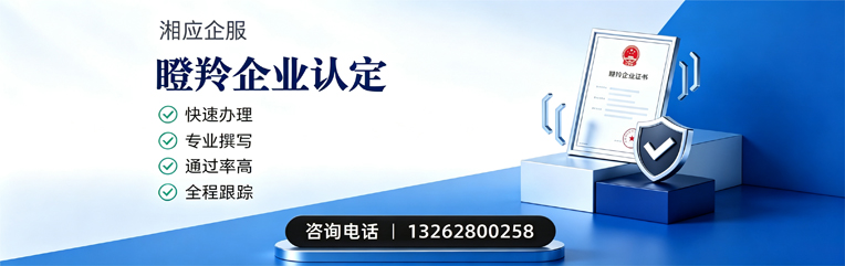 孝感瞪羚企业认定申报服务