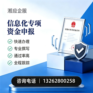 孝感信息化专项资金申报服务
