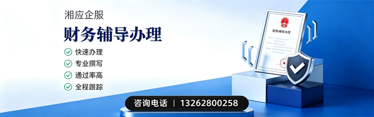 孝感财务辅导申请服务