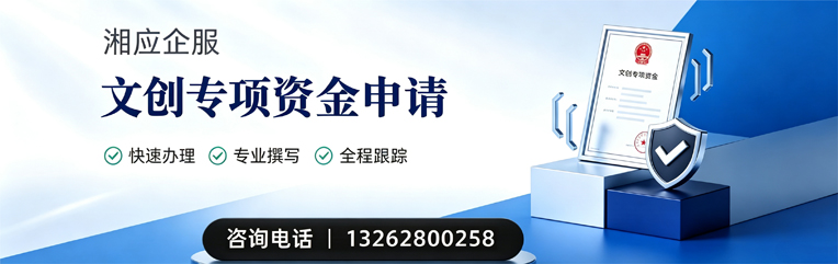 孝感文创专项资金申报服务