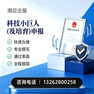 孝感科技小巨人及培育企业申报服务