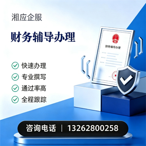 孝感财务辅导申请服务