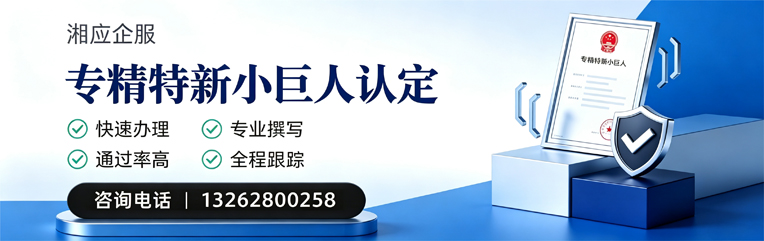 孝感专精特新小巨人申报服务